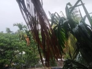 ঘূর্ণিঝড় মোখার প্রভাবে সাতক্ষীরা উপকূলীয় এলাকা