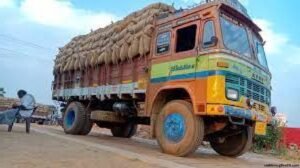 সাতক্ষীরায় ধানবোঝাই ট্রাক উল্টে দুজন নিহত